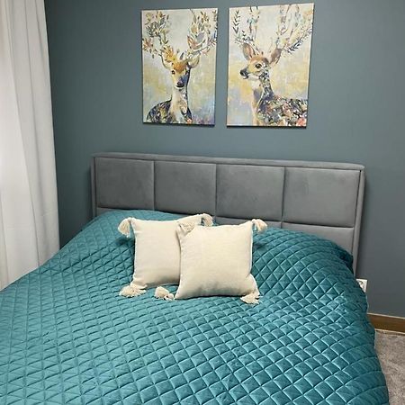 Apartament Sosnowy Zakatek Gliwice Buitenkant foto