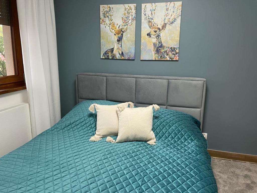 Apartament Sosnowy Zakatek Gliwice Buitenkant foto